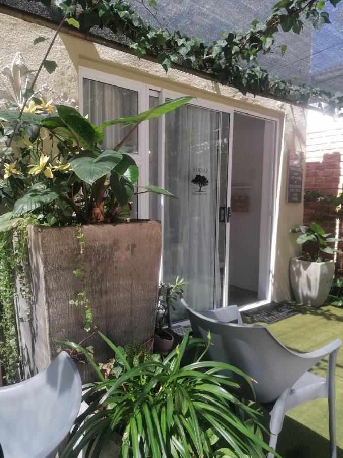 The Oak Treehouse Bnb Куинстаун Экстерьер фото